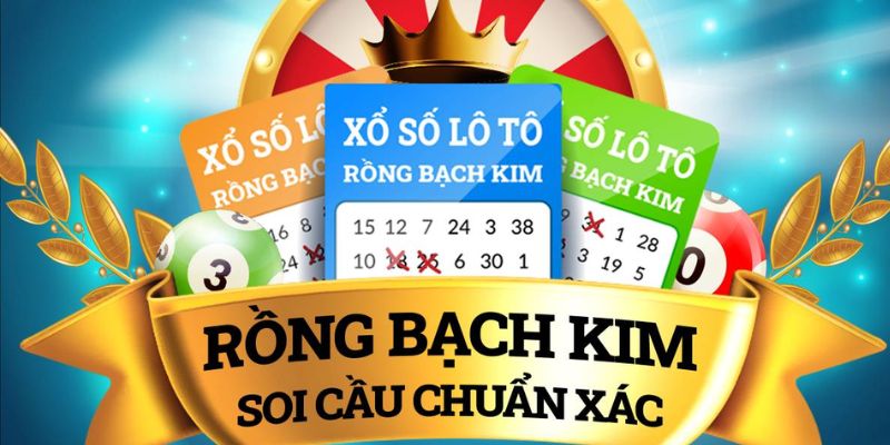 Soi cầu rồng bạch kim cần áp dụng kiến thức mới thường xuyên